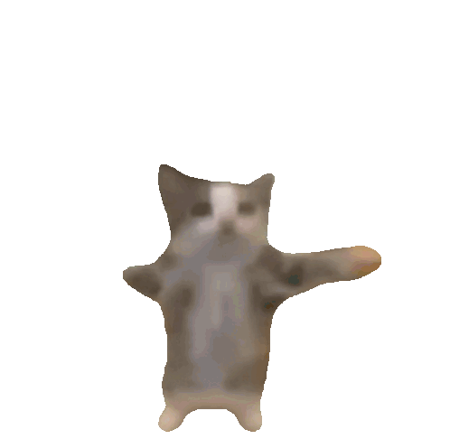 Animación de gato saltando emocionado por la informática